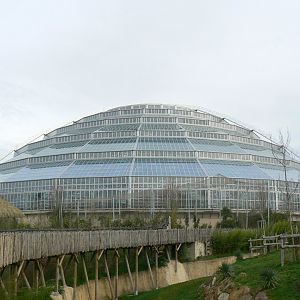 Tropical dome - View from the bongos enclosure