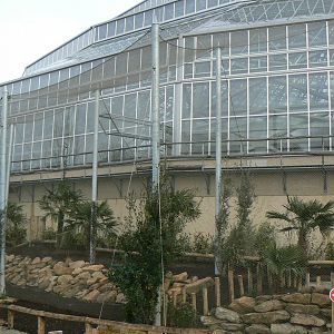 Tropical dome - Outdoor aviary for Aldabra giant tortoises, Rodriguez flying foxes and some birds