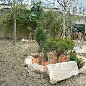 Tropical dome - Outdoore enclosure for radiated tortoises