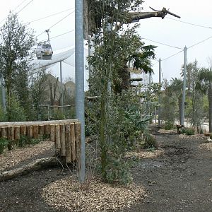 Tropical dome - Future harpy eagles aviary (maybe !)