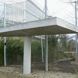 Tropical dome - Future harpy eagles exhibit (fingers crossed)