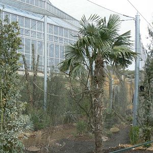Tropical dome - Outdoor aviary for Bolivian squirrel monkeys and southern tamanduas