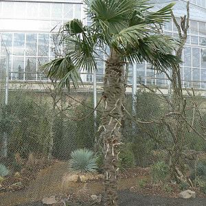 Tropical dome - Outdoor aviary for Bolivian squirrel monkeys and southern tamanduas
