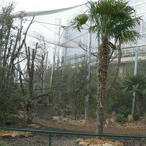 Tropical dome - Outdoor aviary for Bolivian squirrel monkeys and southern tamanduas