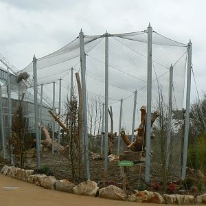Tropical dome - Future outdoor aviary for douc langurs (maybe !)
