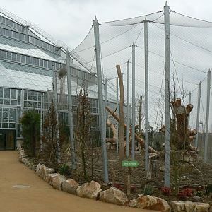 Tropical dome - Future outdoor aviary for douc langurs (maybe !)