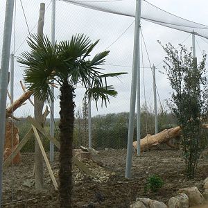 Tropical dome - Future outdoor aviary for douc langurs (maybe !)