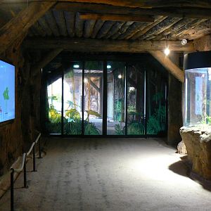 Tropical dome - Entrance tunnel with two terrariums and two aquariums