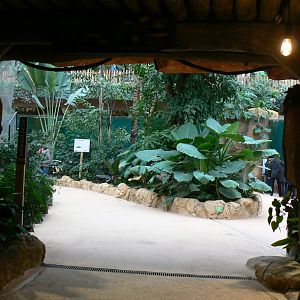 Tropical dome - entrance into the dome from the tunnel