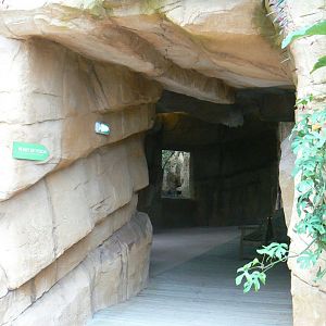 Tropical dome - Cave between the manatees and the giant otters