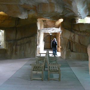 Tropical dome - Cave between the manatees and the giant otters