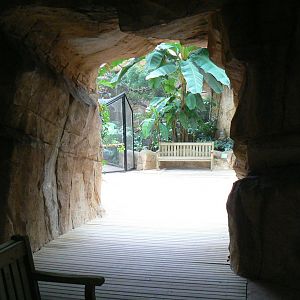Tropical dome - Cave between the manatees and the giant otters