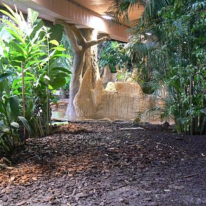 Tropical dome - Cave between the manatees and the giant otters - View on the giant otters exhibit