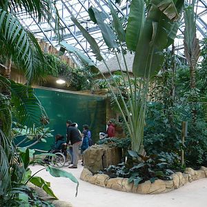 Tropical dome - Main manatee pool