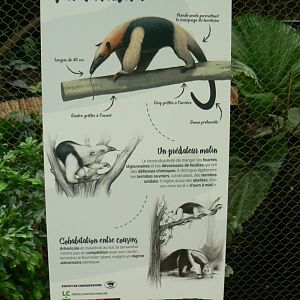 Tropical dome - Southern tamandua signage