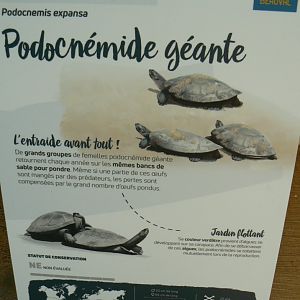 Tropical dome - Arrau river turtle signage