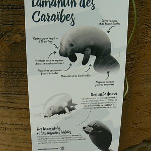 Tropical dome - West indian manatee signage