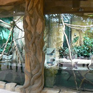 Tropical dome - South american terrariums