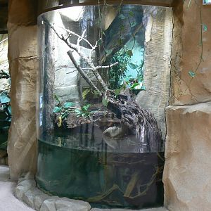 Tropical dome - South american terrariums