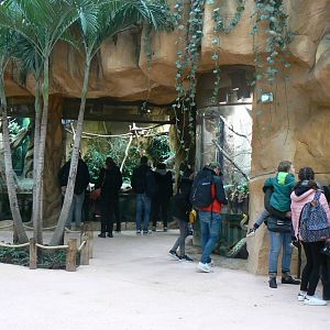 Tropical dome - South american terrariums