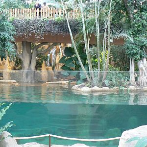 Tropical dome - Giant river otters exhibit
