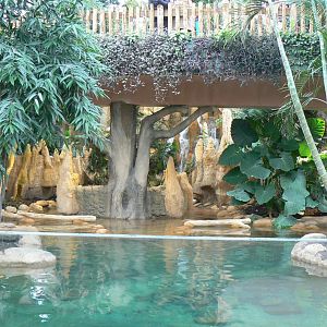Tropical dome - Giant river otters exhibit