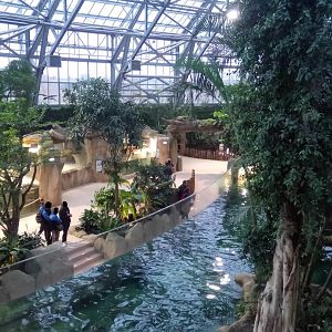 Tropical dome - Giant river otters pool ahead, american alligators on the left, Cuvier's dwarf caimans after and passage to the african area