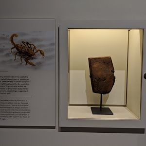 Octopodichnus trackway