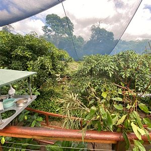 View from the top deck