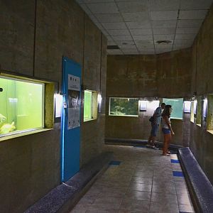 Black Sea aquariums