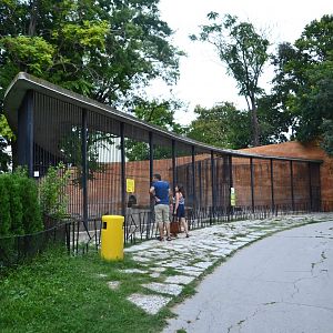 African lion enclosure