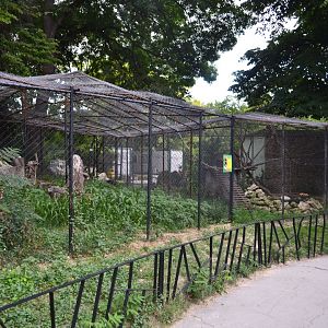 Exhibits for small carnivores (Racoon, Red fox)