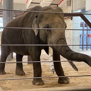 Spike January 17th, 2020