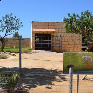 Asian elephant enclosure
