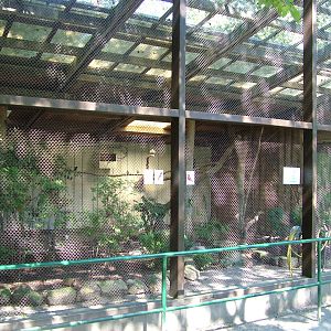Aviary at Vogelpark Schifferstadt, 6th Sept 2010