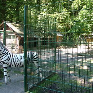 Fallow Deer Paddock at Vogelpark Schifferstadt, 6th Sept 2010