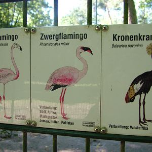 Signage Example at Vogelpark Schifferstadt, 6th Sept 2010