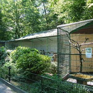 Aviaries at Vogelpark Schifferstadt, 6th Sept 2010