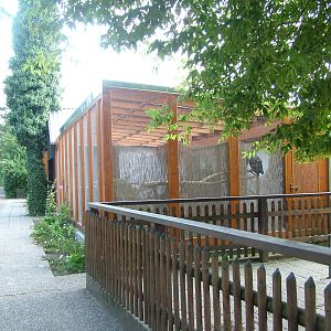 Aviary at Vogelpark Heglachaue, 3rd Sept 2010