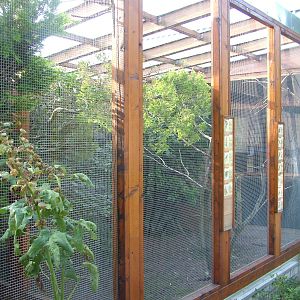 Aviary at Vogelpark Heglachaue, 3rd Sept 2010
