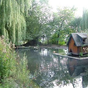 Lake at Vogelpark Heglachaue, 3rd Sept 2010