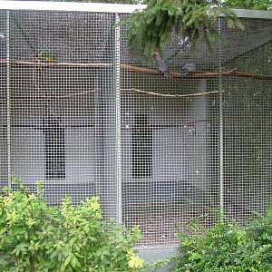 Parrot Aviaries at Vogelpark Erlenwald, 3rd Sept 2010