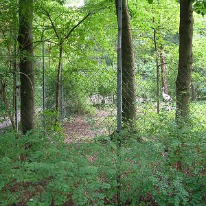 Crane Paddock at Vogelpark Erlenwald, 3rd Sept 2010