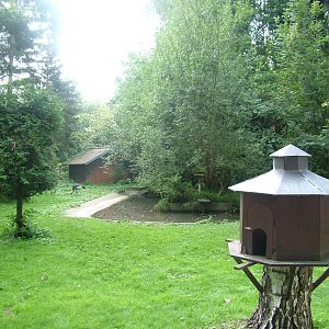 Crane Paddock at Vogelpark Erlenwald, 3rd Sept 2010