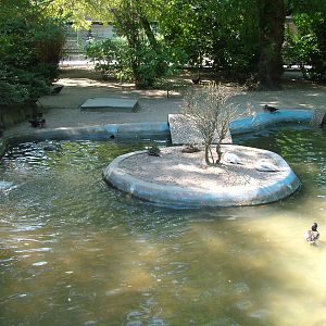 Waterfowl Pond at Vogelpark Birkenheide, 6th Sept 2010
