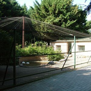 Aviaries at Vogelpark Birkenheide, 6th Sept 2010