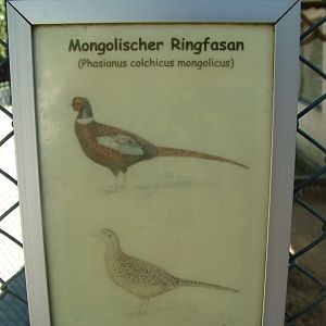 Signage Example at Vogelpark Birkenheide, 6th Sept 2010