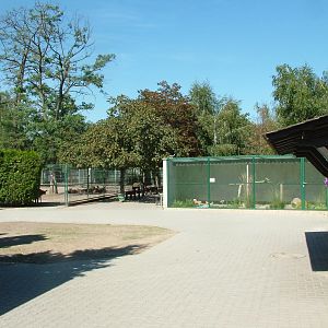 Aviaries at Vogelpark Birkenheide, 6th Sept 2010