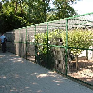 Aviaries at Vogelpark Birkenheide, 6th Sept 2010