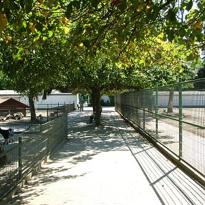 Farm Paddocks at Vogelpark Birkenheide, 6th Sept 2010